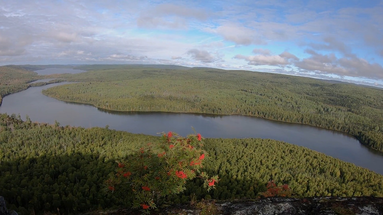 Rose Lake and forest from Rose Lake Cliffs in the Boundary Waters Canoe Area Wilderness
