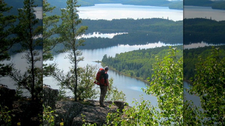 A backpacker admiring the view of lakes and forest from Rose Lake Cliffs