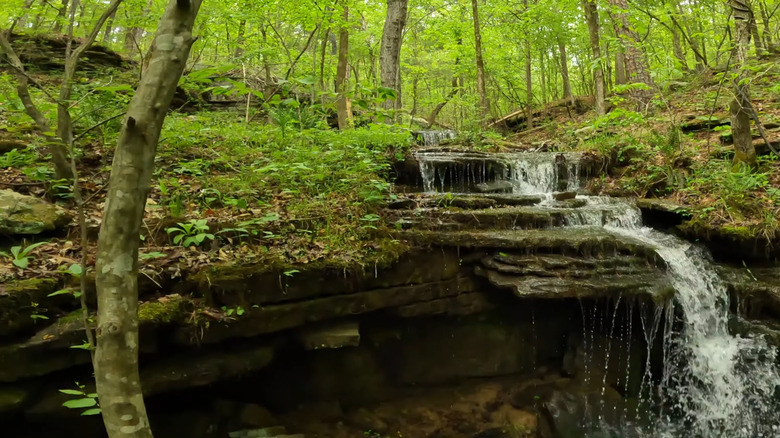 double drop falls bluffton preserve