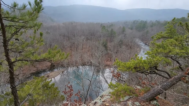 Bluffton Preserve from the bluff