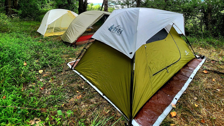 Tents set up for camping in New Jersey's Round Valley Recreation Area