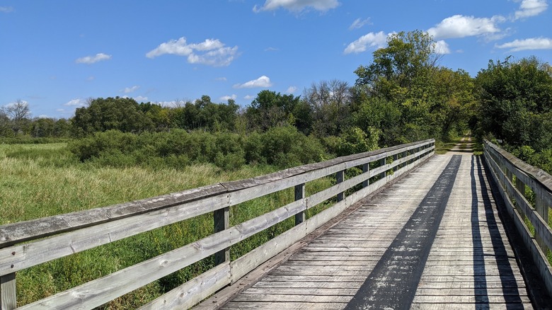 A wooden bridge over a wetland on the Glacial Drumlin Trail in Wisconsin