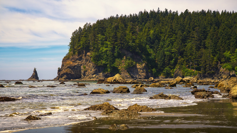 Third Beach in the La Push community along the Olympic Peninsula in Washington State