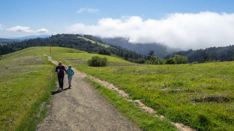 Hikers at Russian Ridge Open Space Preserve