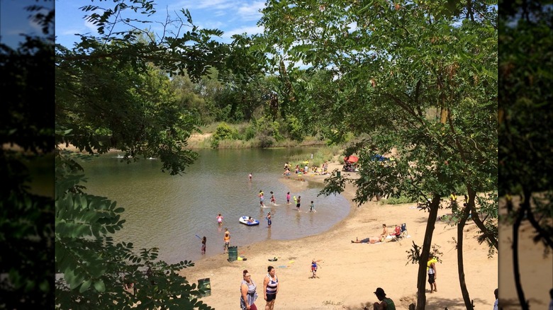 People swimming at Paradise Beach in Sacramento, California