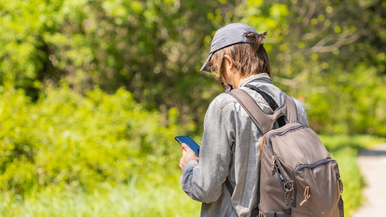 backpacker examines phone