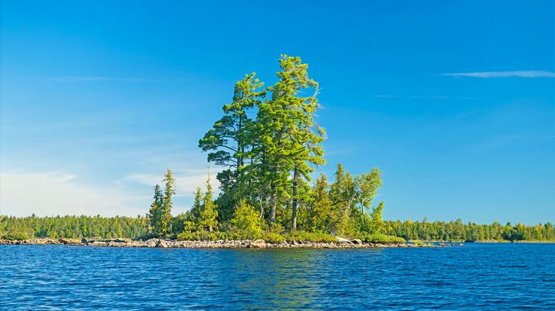 An island in Saganaga Lake with tall trees