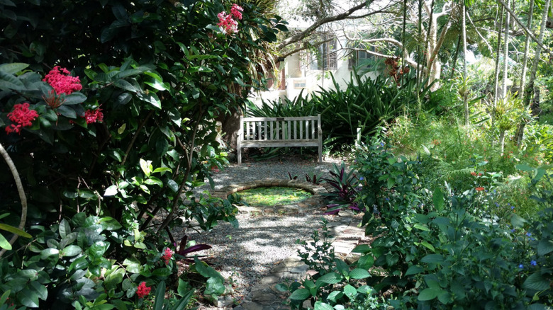 A wooden bench amid lush vegetation on the grounds of St. George Village Botanical Garden, Saint Croix, U.S. Virgin Islands