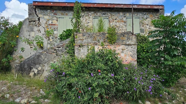 Abandoned structure and lush vegetation at St. George Village Botanical Garden, Saint Croix, U.S. Virgin Islands