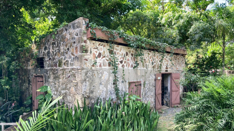 Lush vegetation growing over ruins on the grounds of St. George Village Botanical Garden, Saint Croix, U.S. Virgin Islands