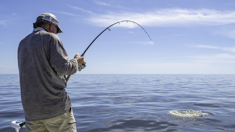 A fisher hooks into a large fish in the Gulf of Mexico