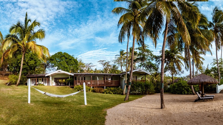 East Winds resort palm trees and hammock
