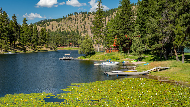 Boat jetties and small cabins dot the shores of Salmon Lake in Montana