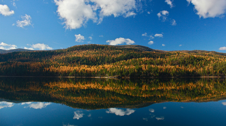 Mountains rise behind the water of Salmon Lake, Montana