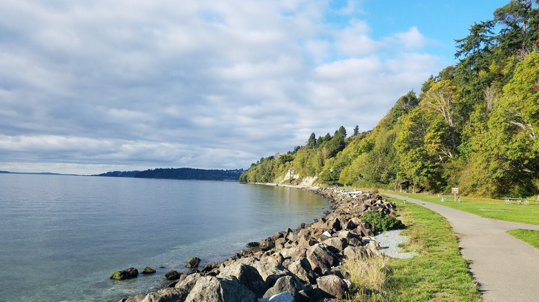 Rocky beach and water at Saltwater State Park, Washington