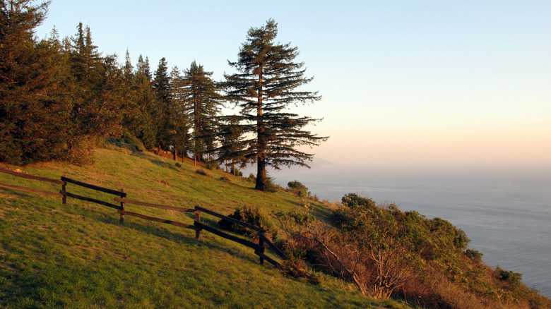 A view of the Pacific Ocean from Post Ranch Inn, Big Sur