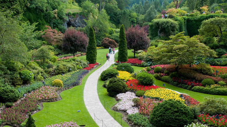 People walking along the sunken garden trail at Butchart Gardens in Victoria, British Columbia, Canada.