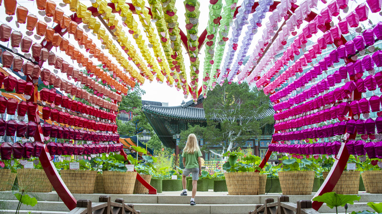 A child visiting Jogyesa Temple a Buddhist temple in South Korea during the Lotus Lantern Festival.