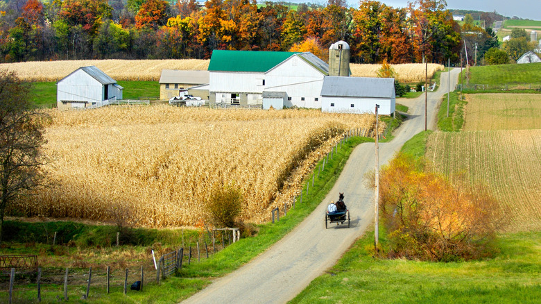 Scenic Amish country in MIllersburg, Ohio