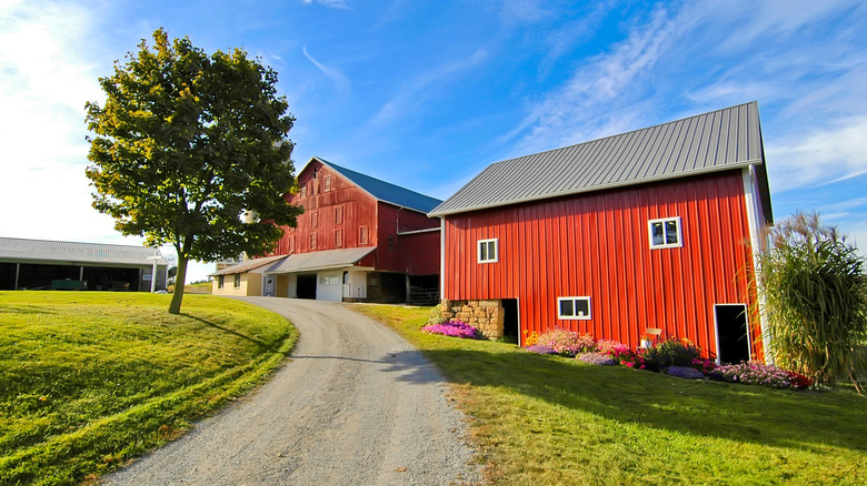 Amish home in Millersburg, Ohio