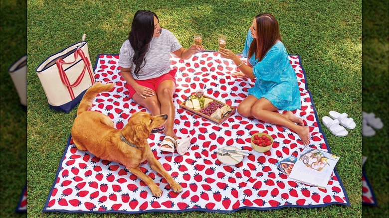 Two women and a dog sitting on the Member's Mark Outdoor blanket with a strawberry design, toasting over a charcuterie board.
