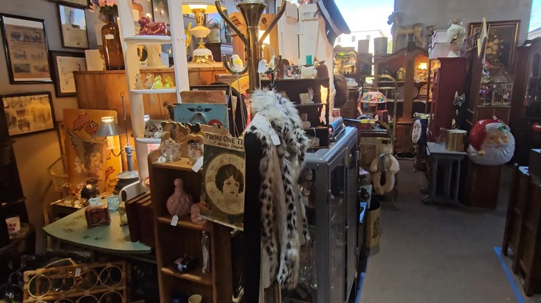 Interior of Armadillo Antiques N More in San Antonio, Texas