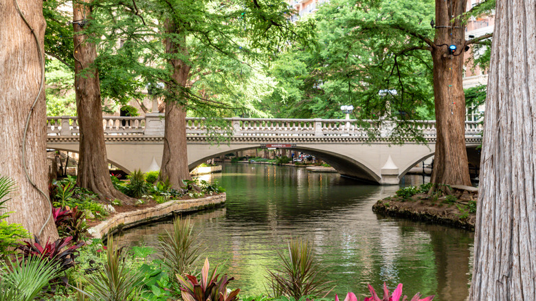 A bridge of the San Antonio River in Texas