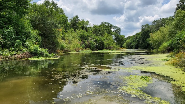 Crescent Bend Nature Park