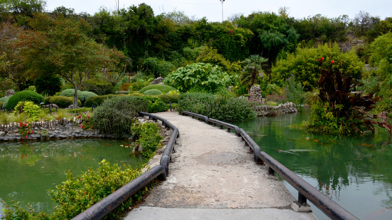 A trail through the Japanese Tea Garden in Brackenridge Park in San Antonio