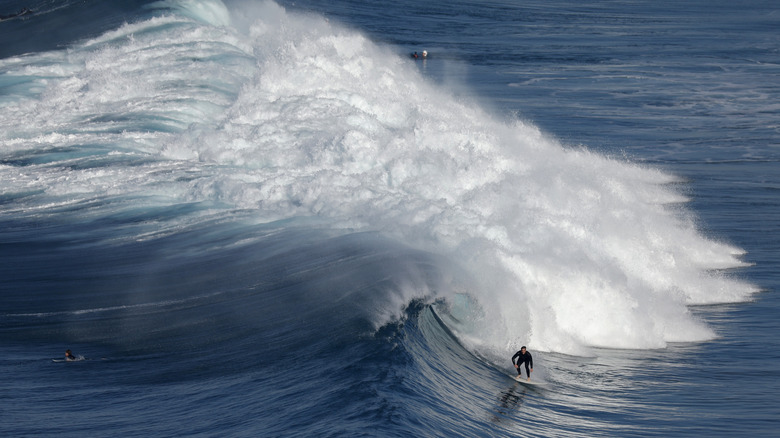 Surfing at Black's Beach in San Diego