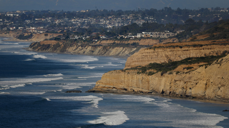 Black's Beach