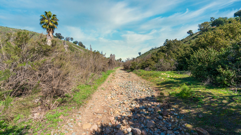 Trail in San Diego's Navajo Canyon