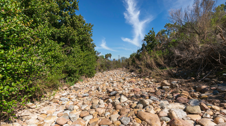 Rocky trail in San Diego's Navajo Canyon