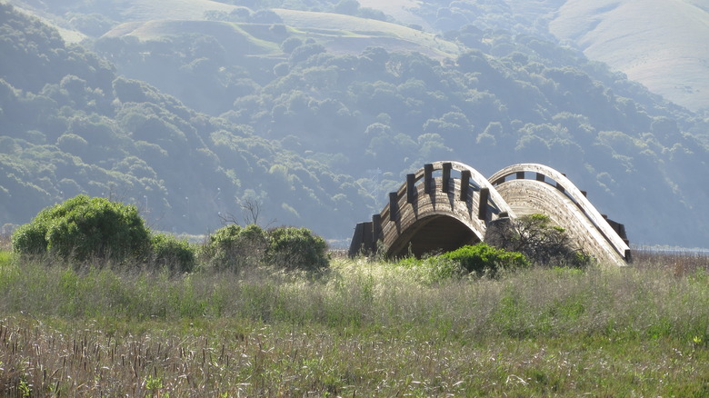 A wooden bridge in the Martinez Regional Shoreline in Martinez, California