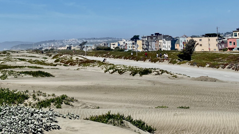 Sand dunes along the Great Highway near Ocean Beach in San Francisco