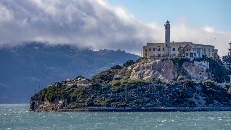 Alcatraz Island