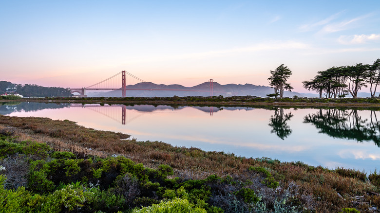 Reflections in the marsh at Crissy Field in San Francisco