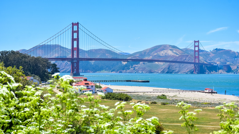 Crissy Field and the Golden Gate Bridge in San Francisco
