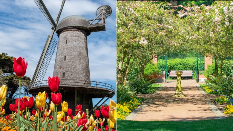 Queen Wilhelmina Garden & Shakespeare Garden in Golden Gate Park in San Francisco