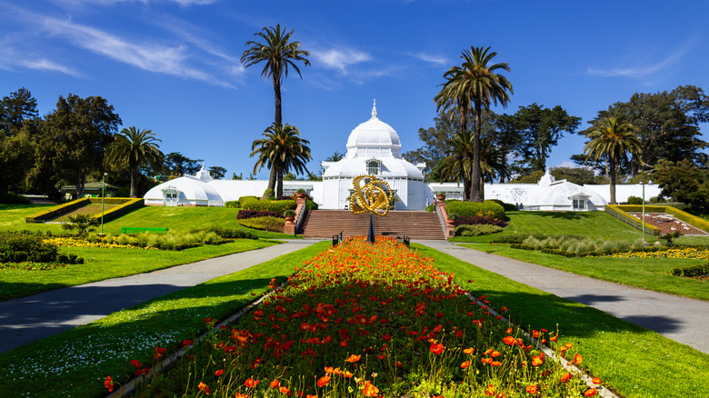 Flowers and the conservatory at Golden Gate Park in San Francisco, California