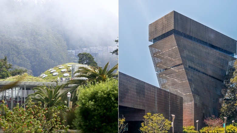 California Academy of Sciences green roof and the de Young Museum in Golden Gate Park
