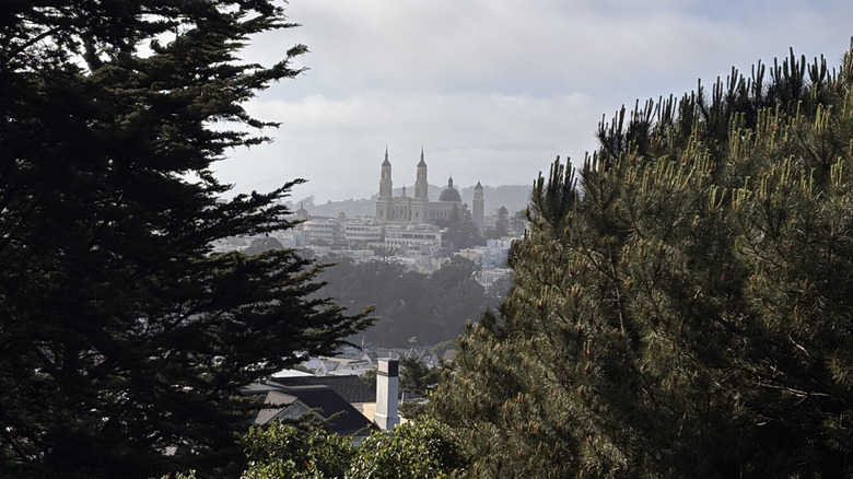 A hazy view of San Francisco through the trees at Buena Vista Park
