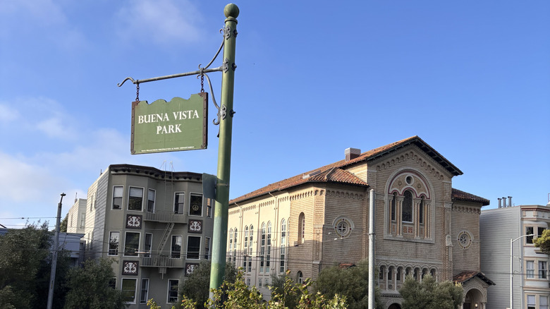 The edge of Buena Vista Park near Haight Street in San Francisco