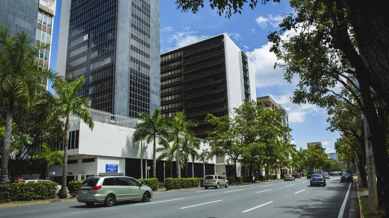 Tall buildings and palm trees in Hato Rey's financial district