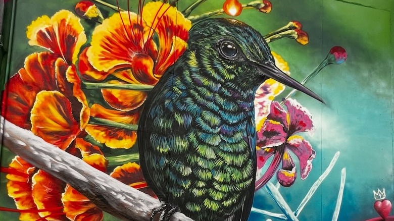 Hummingbird mural by Gabriel Abast on Calle Cerra in San Juan, Puerto Rico