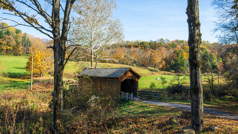 McClellan Covered Bridge, Lisbon, Ohio