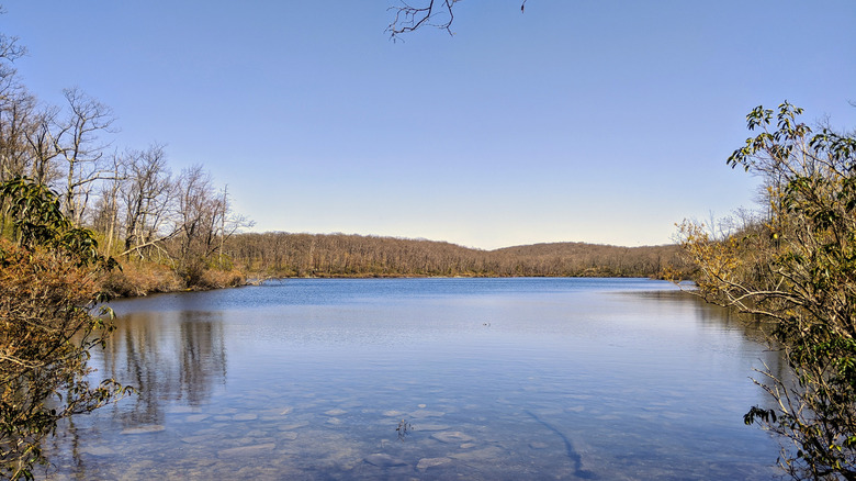 Water sunset in Worthington State Forest.