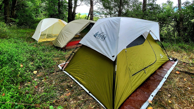 Tents set up for camping in New Jersey's Round Valley Recreation Area