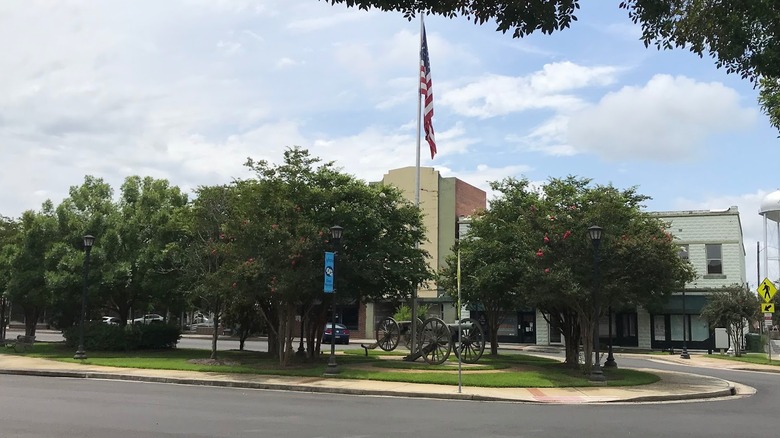 Trees and buildings in downtown Sylvania, Georgia