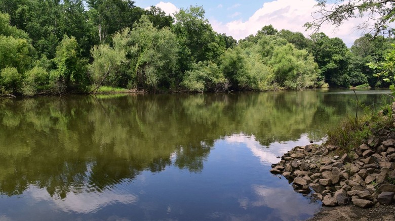 A lake surrounded by trees in Tuckahoe Wildlife Management Area in Georgia